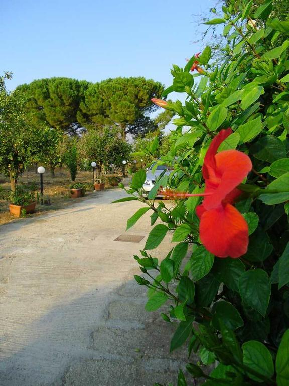 "Green" B&B Il Bracco Partinico Bagian luar foto
