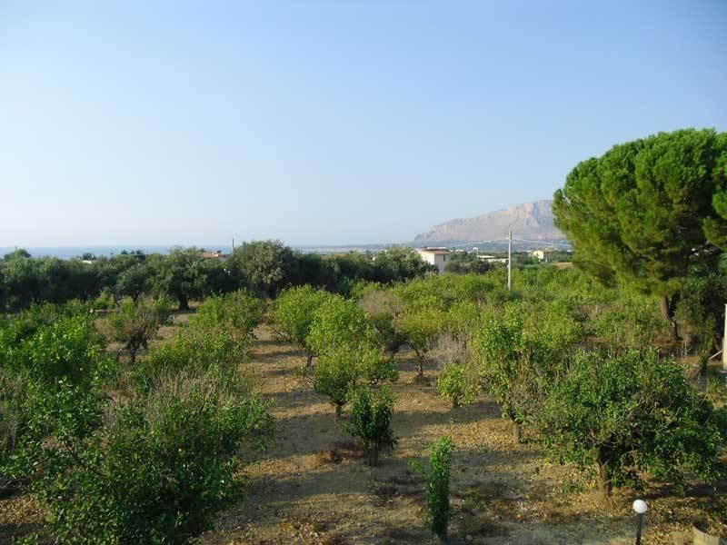 "Green" B&B Il Bracco Partinico Bagian luar foto