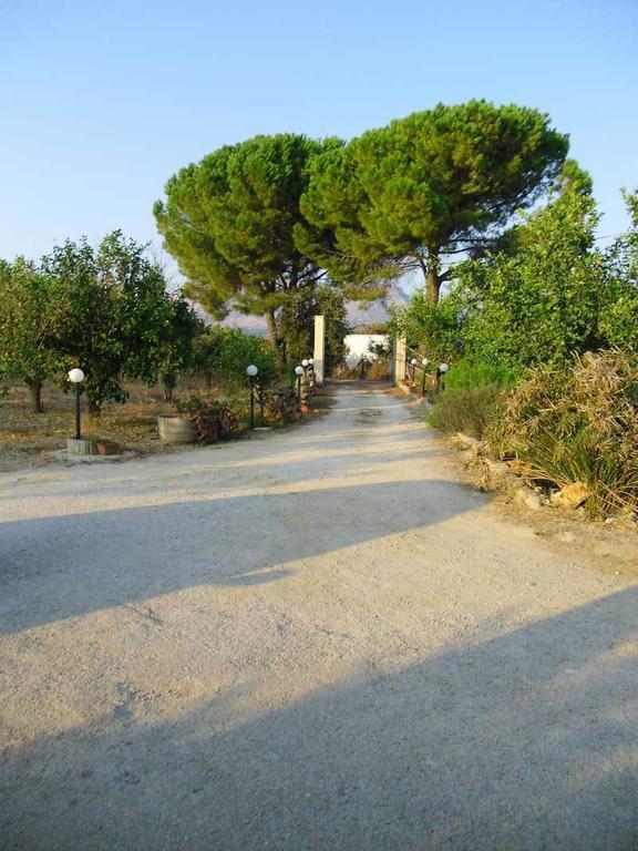 "Green" B&B Il Bracco Partinico Bagian luar foto